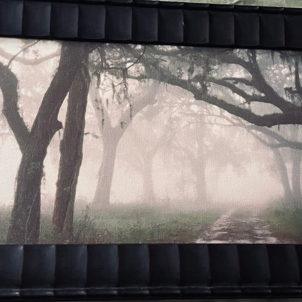 Doug Cavanah-signed-framed-print on canvas-Dawn’s early light